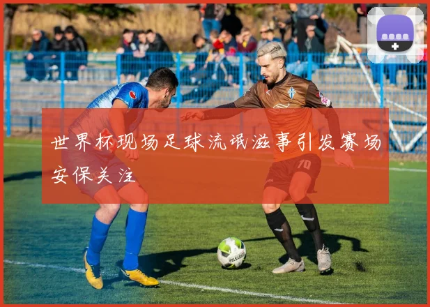 世界杯现场足球流氓滋事引发赛场安保关注