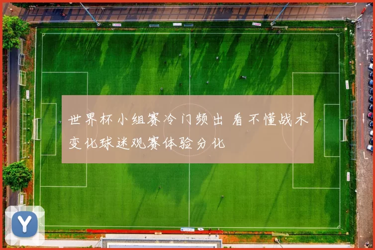 世界杯小组赛冷门频出 看不懂战术变化球迷观赛体验分化