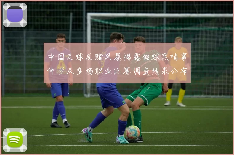 中国足球反赌风暴揭露假球黑哨事件涉及多场职业比赛调查结果公布
