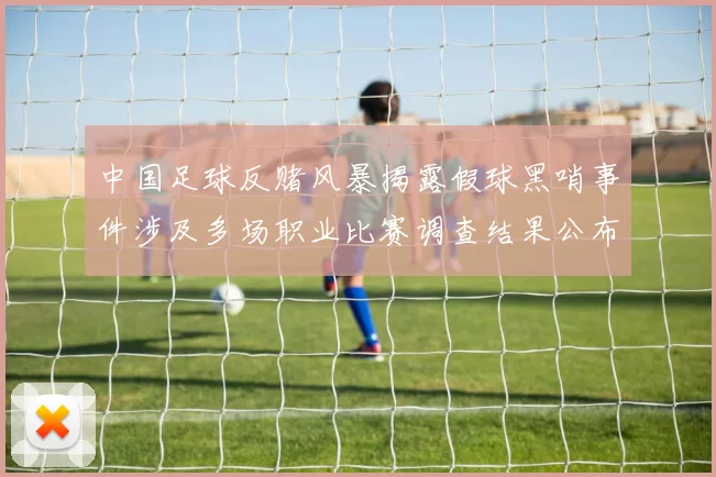中国足球反赌风暴揭露假球黑哨事件涉及多场职业比赛调查结果公布