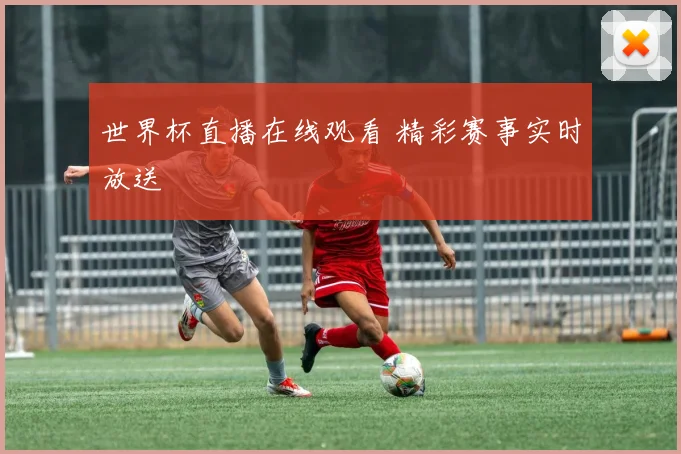 世界杯直播在线观看 精彩赛事实时放送