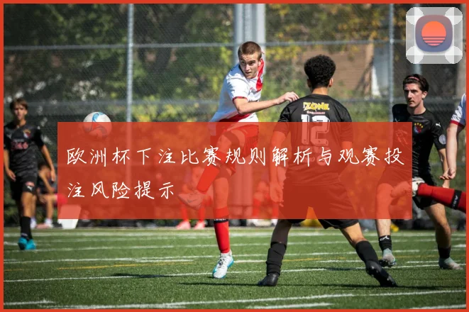 欧洲杯下注比赛规则解析与观赛投注风险提示