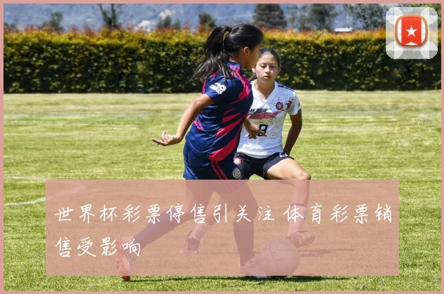 世界杯彩票停售引关注 体育彩票销售受影响