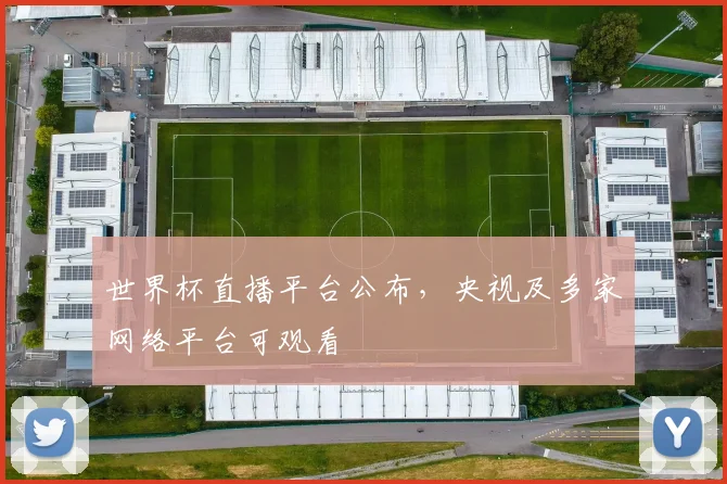 世界杯直播平台公布，央视及多家网络平台可观看