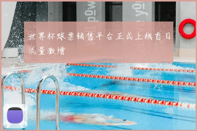 世界杯球票销售平台正式上线首日流量激增