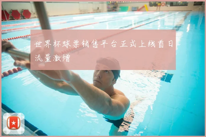 世界杯球票销售平台正式上线首日流量激增